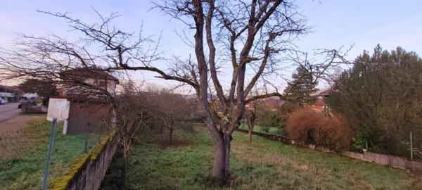 À vendre Terrain - Saint-dié-des-vosges 88100