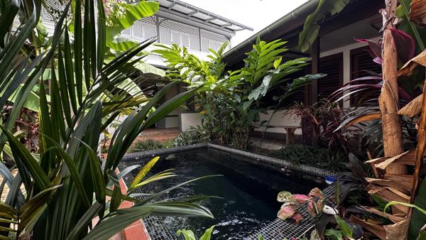 Immobilier Cayenne (97300) – Maison de ville 188m2 – 495 000 €