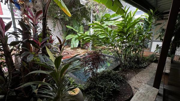 Immobilier Cayenne (97300) – Maison de ville 188m2 – 495 000 €