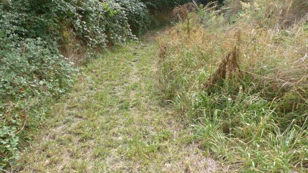 Dpt Deux Sèvres (79), à vendre AVAILLES THOUARSAIS maison P4