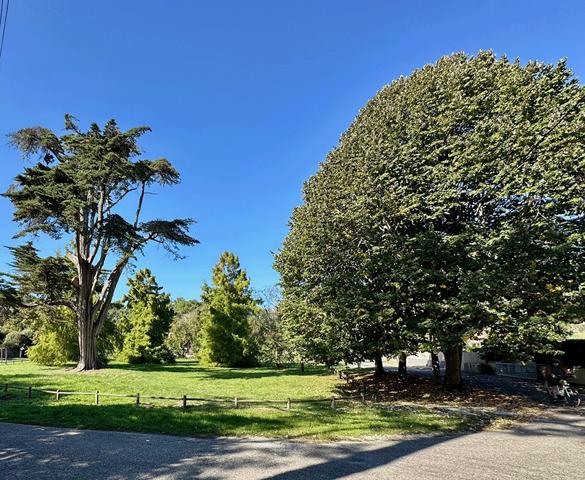 Cap Ferret, plage de l’Herbe/Villa Algérienne, très belle villa d’architecte 155 m2, 4 chambres, garage, sur beau terrain de 981 m2