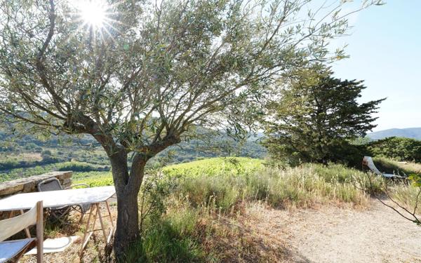 Maison à vendre    1 pièce •  Villeneuve-les-Corbières