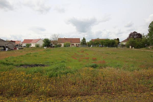 Terrain à bâtir Huisseau Sur Cosson 884 m2