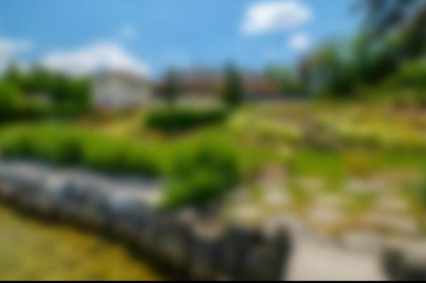 Propriété d'Exception : L'Apogée du Luxe sur le Lac Léman Chens sur leman