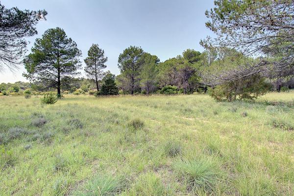 A VENDRE EXCLUSIVITE ! Terrain Sillans La Cascade 2528 m²