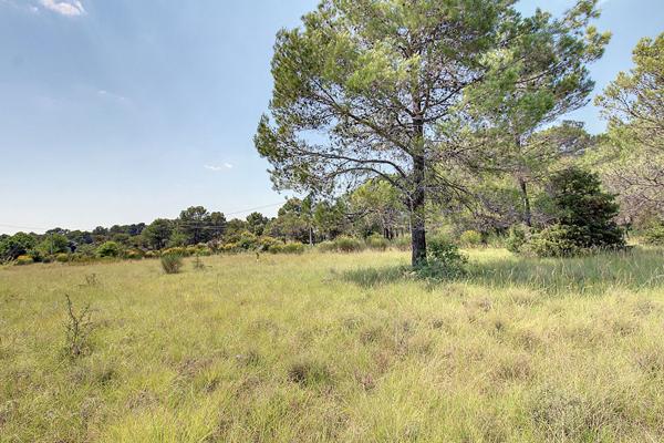 A VENDRE EXCLUSIVITE ! Terrain Sillans La Cascade 2528 m²