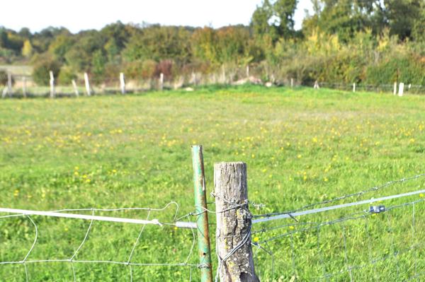 Terrain à ECOYEUX, 17770 - 2250m²