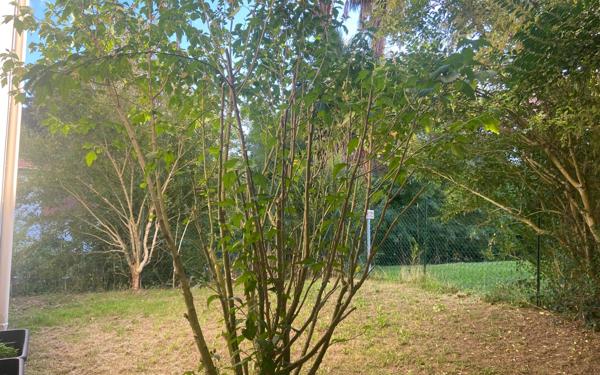 Appartement à vendre    2 pièces • 50,89 m2 Bayonne