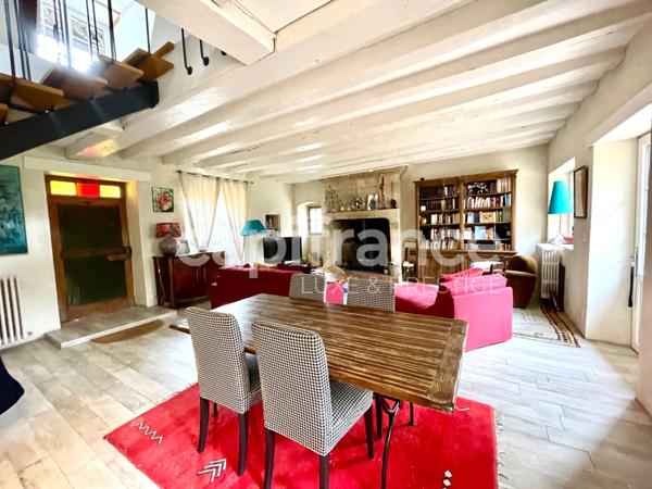 Propriété 4 chambres, parc de 6000 m2 à Luynes.