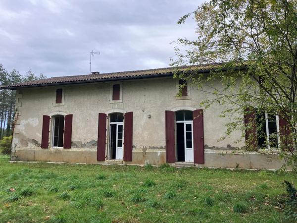 Un domaine de pierre de 160 m² env. à rénover sur 15950 m² de forets préservées, Un havre rare entre ciel et pins !