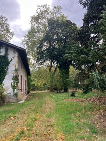 Un domaine de pierre de 160 m² env. à rénover sur 15950 m² de forets préservées, Un havre rare entre ciel et pins !