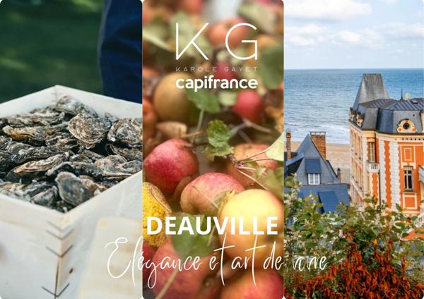 Deauville, fonds de commerce de restaurant vente à emporter à vendre, bénéficiant d’une excellente visibilité sur axe très passant.