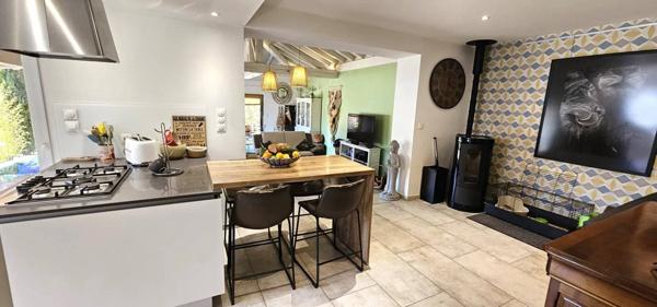 VILLA EXCEPTIONNELLE 175M2 ET 2 GITES INDEPENDANTS