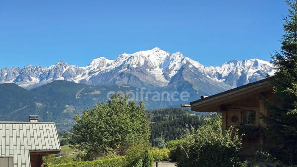 Superbe appartement 2 pièces, vue exceptionnelle sur le Mont-Blanc - CORDON (74)