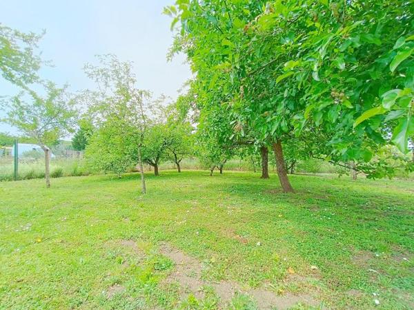 Maison individuelle Tucquegnieux 250 m²