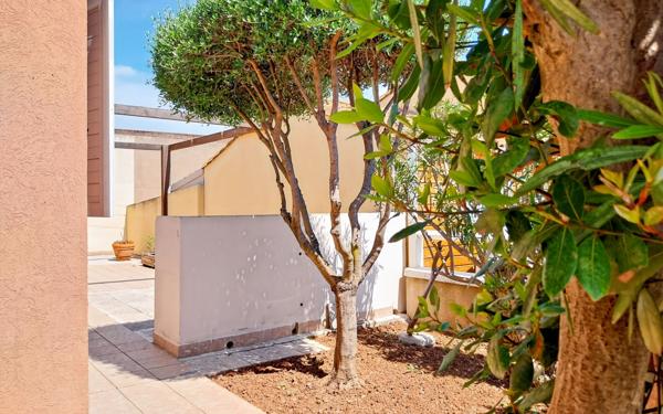 Maison à vendre    4 pièces • 8 207 m2 Marseillan
