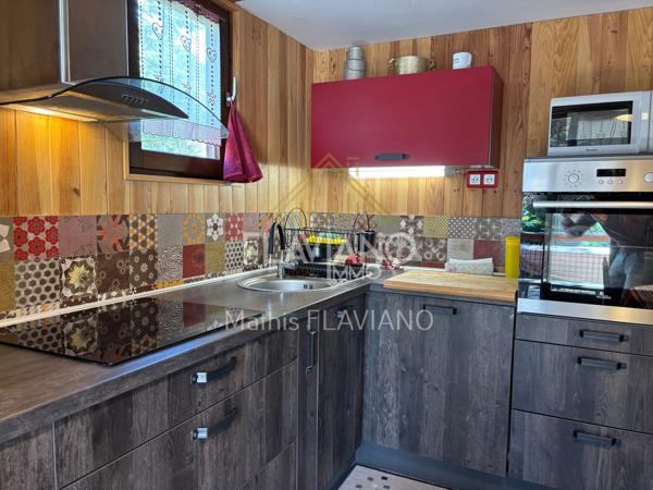 CHALET DE BARCELONNETTE - JARDIN & TERRASSE - GARAGE Barcelonnette (04400)