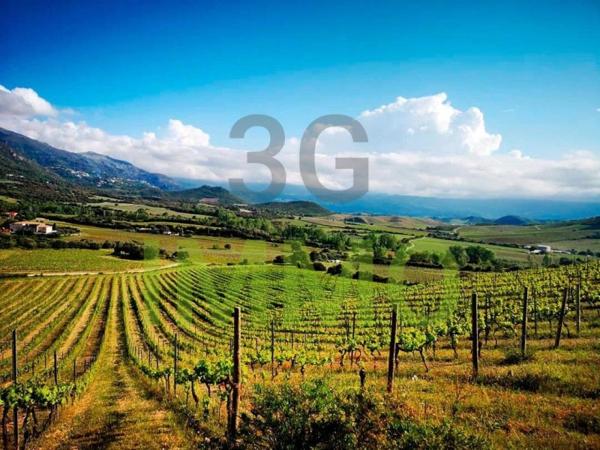 Vente / Appartement T3