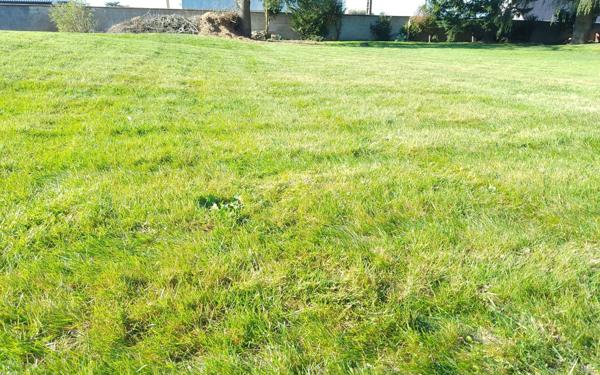 Terrain à vendre    Monnaie