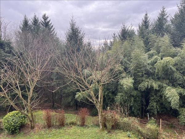 Maison à vendre |  Altillac |  7 pièces | 145 m²