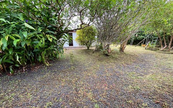 Maison à vendre    4 pièces •  La Plaine-des-Palmistes