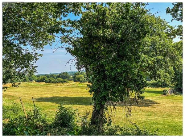 Maison à vendre à Avrillé dans le Maine-et-Loire (49240), ref : 49014-1774