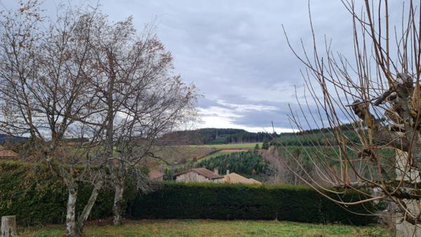 Saint Etienne 42100 dans un hameau paisible au dessus de Rochetaillée ferme rénovée en 2010 sur la partie habitation 112m² habitables 3 chambres sur 1080m² de terrain