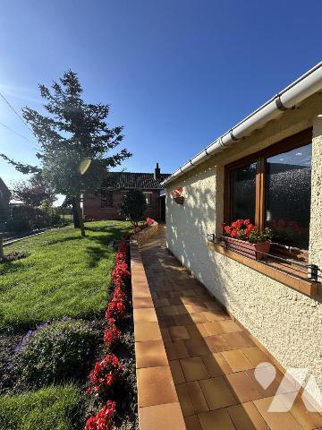 SAINT-VENANT - Maison individuelle type plain-pied - 4 chambres - 88 m² habitable