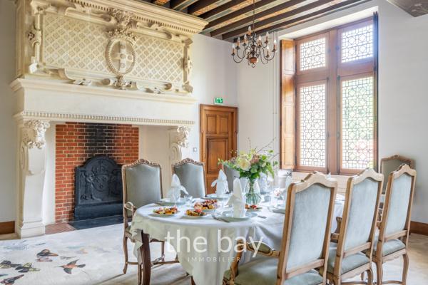 Chissay-en-Touraine (41400) PRÈS D'AMBOISE – CHÂTEAU HISTORIQUE DU VAL DE LOIRE – 24 HECTARES – PISCINE – DÉPENDANCES – 4 600 000 € FAI