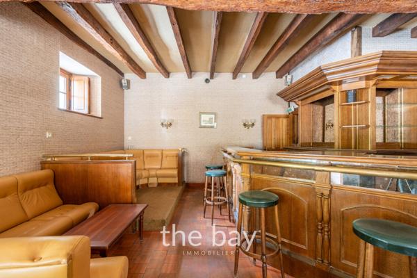 Chissay-en-Touraine (41400) PRÈS D'AMBOISE – CHÂTEAU HISTORIQUE DU VAL DE LOIRE – 24 HECTARES – PISCINE – DÉPENDANCES – 4 600 000 € FAI