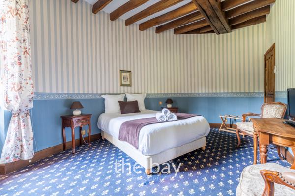 Chissay-en-Touraine (41400) PRÈS D'AMBOISE – CHÂTEAU HISTORIQUE DU VAL DE LOIRE – 24 HECTARES – PISCINE – DÉPENDANCES – 4 600 000 € FAI