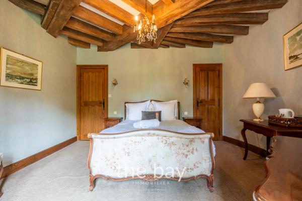 Chissay-en-Touraine (41400) PRÈS D'AMBOISE – CHÂTEAU HISTORIQUE DU VAL DE LOIRE – 24 HECTARES – PISCINE – DÉPENDANCES – 4 600 000 € FAI