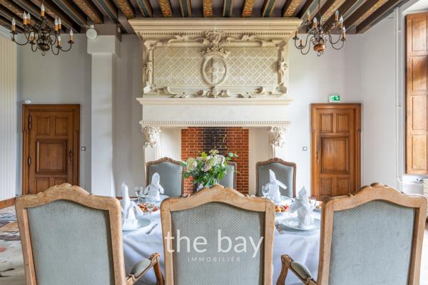 Chissay-en-Touraine (41400) PRÈS D'AMBOISE – CHÂTEAU HISTORIQUE DU VAL DE LOIRE – 24 HECTARES – PISCINE – DÉPENDANCES – 4 600 000 € FAI