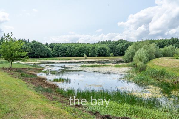 Chissay-en-Touraine (41400) PRÈS D'AMBOISE – CHÂTEAU HISTORIQUE DU VAL DE LOIRE – 24 HECTARES – PISCINE – DÉPENDANCES – 4 600 000 € FAI