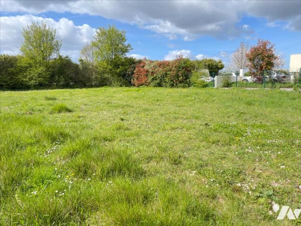 Local professionnel à vendre