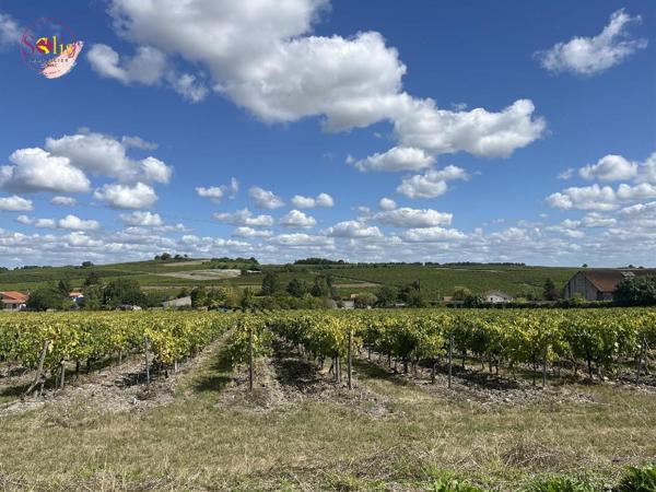 Terrain constructible de 1500 m² avec vue dégagée ...
