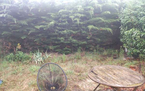 Appartement à louer    2 pièces • 35 m2 Saint-Philibert