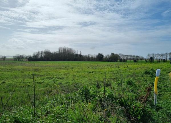 Terrain à vendre    2 161 m2 Muron