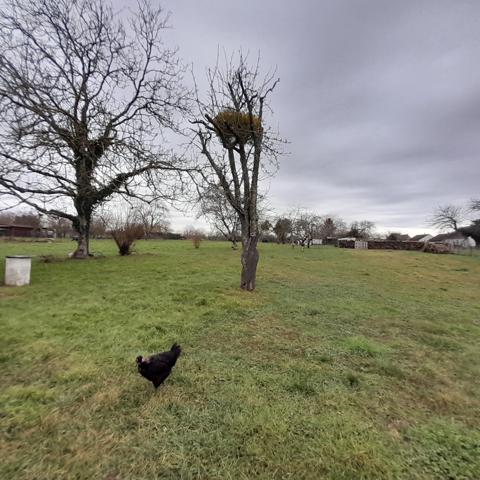 Maison 3 pièces sur terrain constructible à SAINT MARCEL (36)