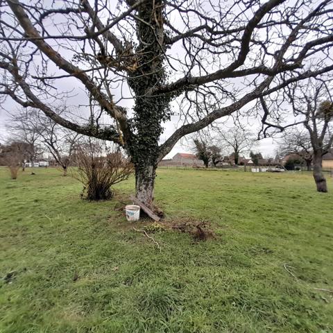 Maison 3 pièces sur terrain constructible à SAINT MARCEL (36)