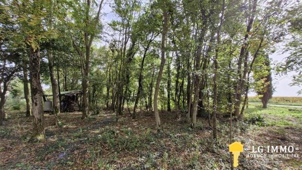 Votre recherche de biens