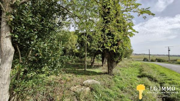 Votre recherche de biens