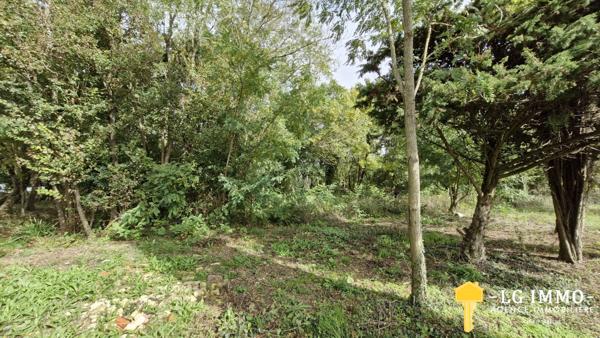 Votre recherche de biens