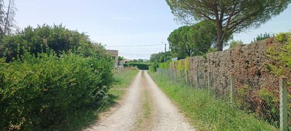 Maison à vendre à Revel (31250) - 1460 m² de terrain