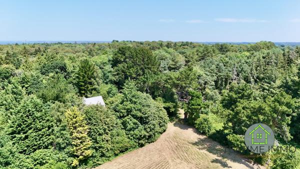 Maison d'architecte en pleine forêt