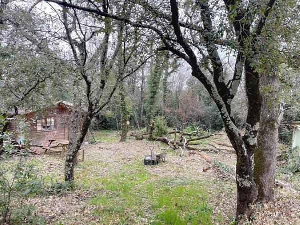 Vente / Maison avec dépendance