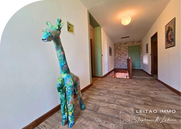 Lisle-sur-Tarn (81310) corps de ferme rénové sur plus d’un hectare clos