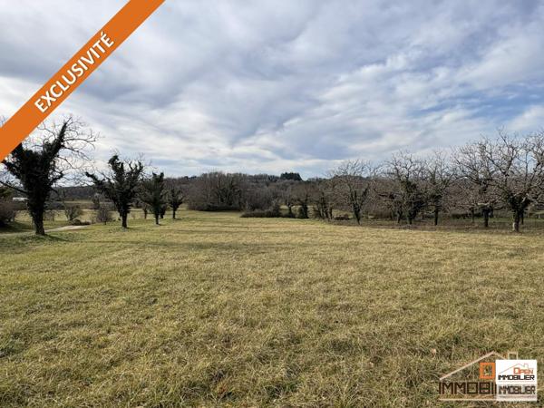 Terrain à bâtir 3 767m²