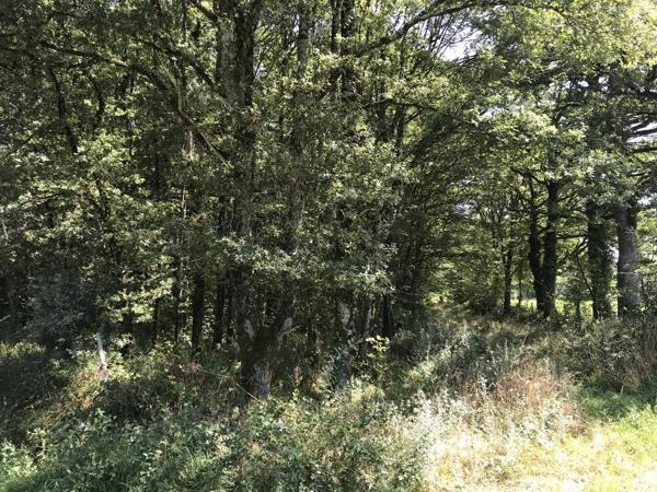 Ferme du début du 20ème siècle, nombreuses dépendances, maison à rénover, piscine