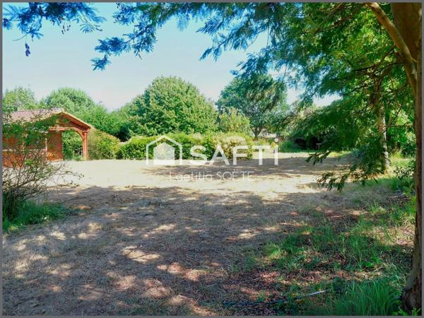 Terrain plat dans un environnement verdoyant